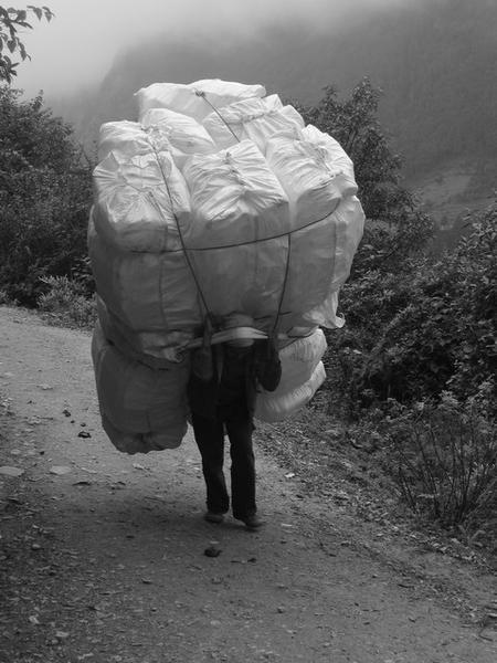 Carrying burden