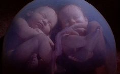 IN THE WOMB:  IDENTICAL TWINS NGCI - IBMS: 024357 NGCUS - Ep Code: 4048 ...A photograph of a model of identical twins.   Identical twins have become geneticists preferred choice of study  their similarities and differences help fill in the gaps in their understanding of basic genetics and DNA.  The National Geographic Channel explores the hidden world of Epigenetics, a burgeoning field of genetics that may provide an explanation for why one identical twin has a disease while the other is spared.  (Image Credit:  Fluid Pictures /  Pioneer Productions)